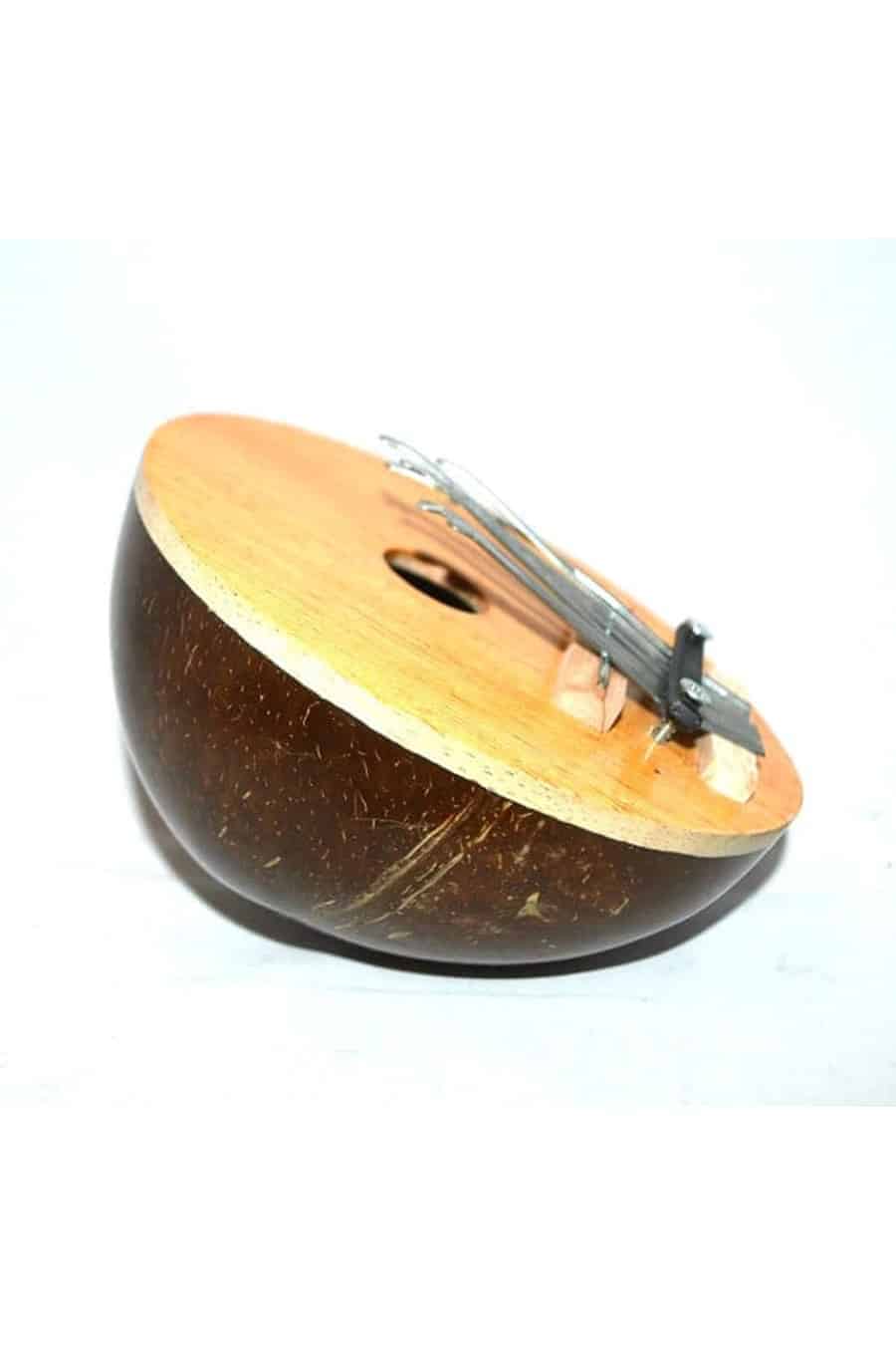 Coconut Kalimba (Thumb Piano) - Image 2