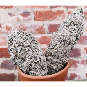 Smudge Sticks & Palo Santo