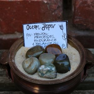Ocean Jasper Tumble Stone